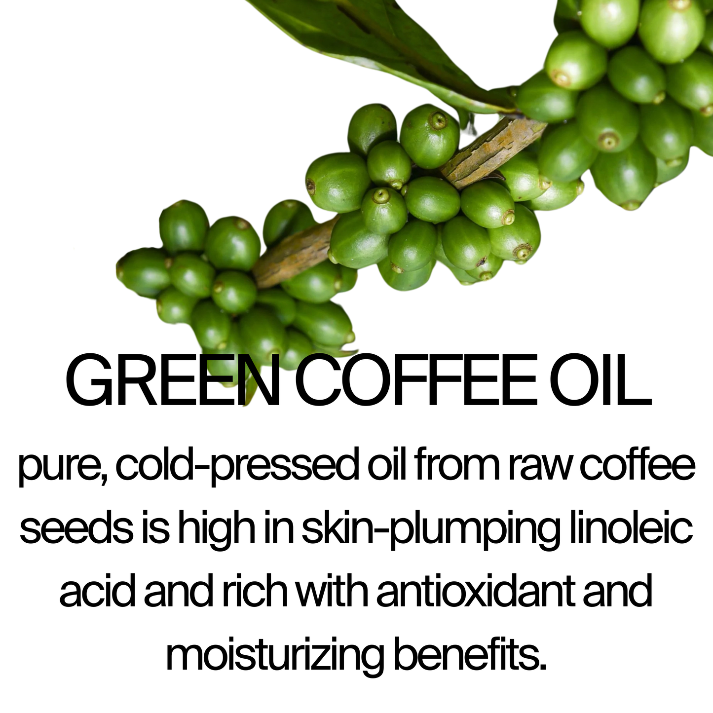 BODY SCRUB