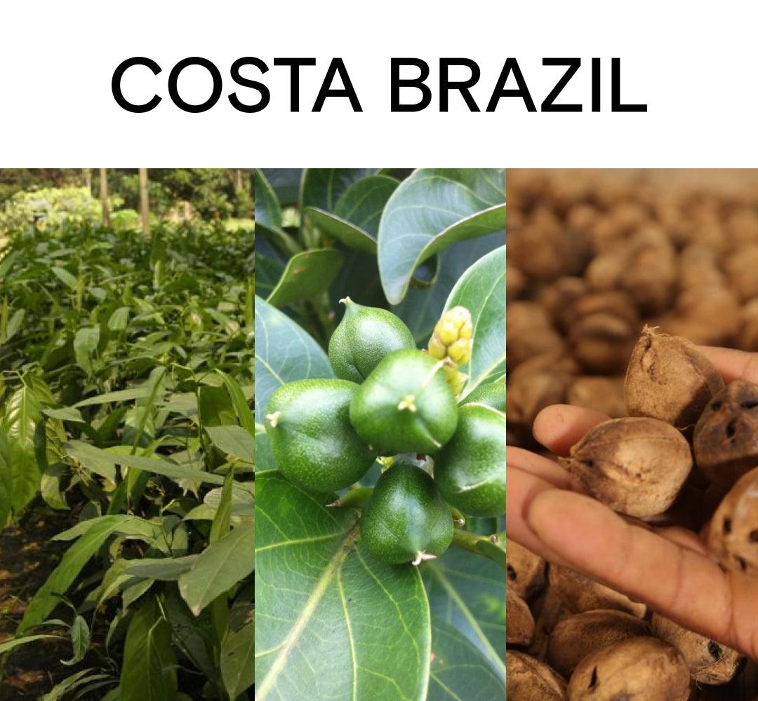 CACAY-RICH SKIN RITUALS - Costa Brazil
