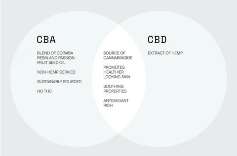 Comparative Cba The Difference Between CBD and CBA – Costa Brazil